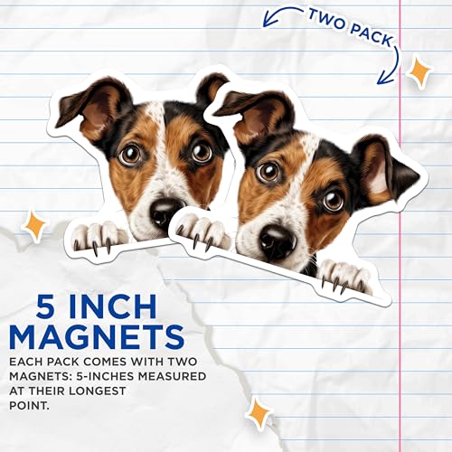 (2 Pack) Animal Fridge Decor Magnet - 5" On Longest Side - Sticks to Smooth Flat Surfaces - Made in USA - MAG10283
