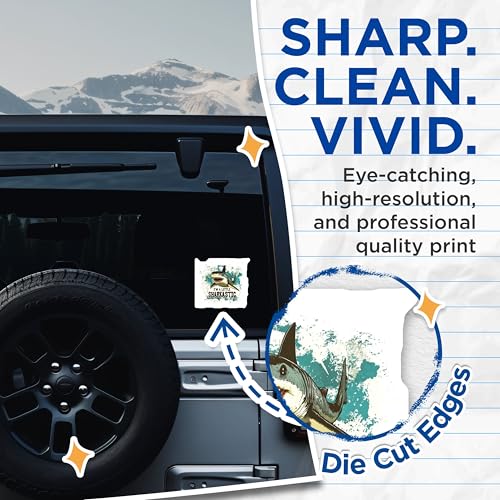 (2 Pack) Shark Stickers - Funny Shark Stickers - I'm a Little Sharkastic Stickers - 5" On Longest Side - Sticks to Any Smooth Flat Surface - Made in USA - BMCS3504