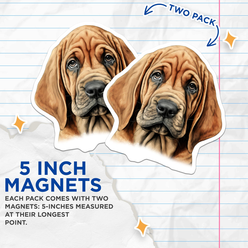 (2 Pack) Bloodhound Dog Magnets - Cute Bloodhound Puppy Art - Dog Mom Pet Lover Fridge Decor - 5 Inches On Longest Side - Thick Durable Magnet - Made in USA - MAG28546