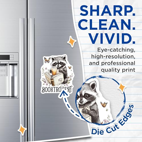 (2 Pack) Booktrovert Magnets Magnets - Cute Raccoon Magnet - Book Lover Decor - 5" On Longest Side - Made in USA - Sticks to Refrigerators & Metal Surfaces - MAG9163