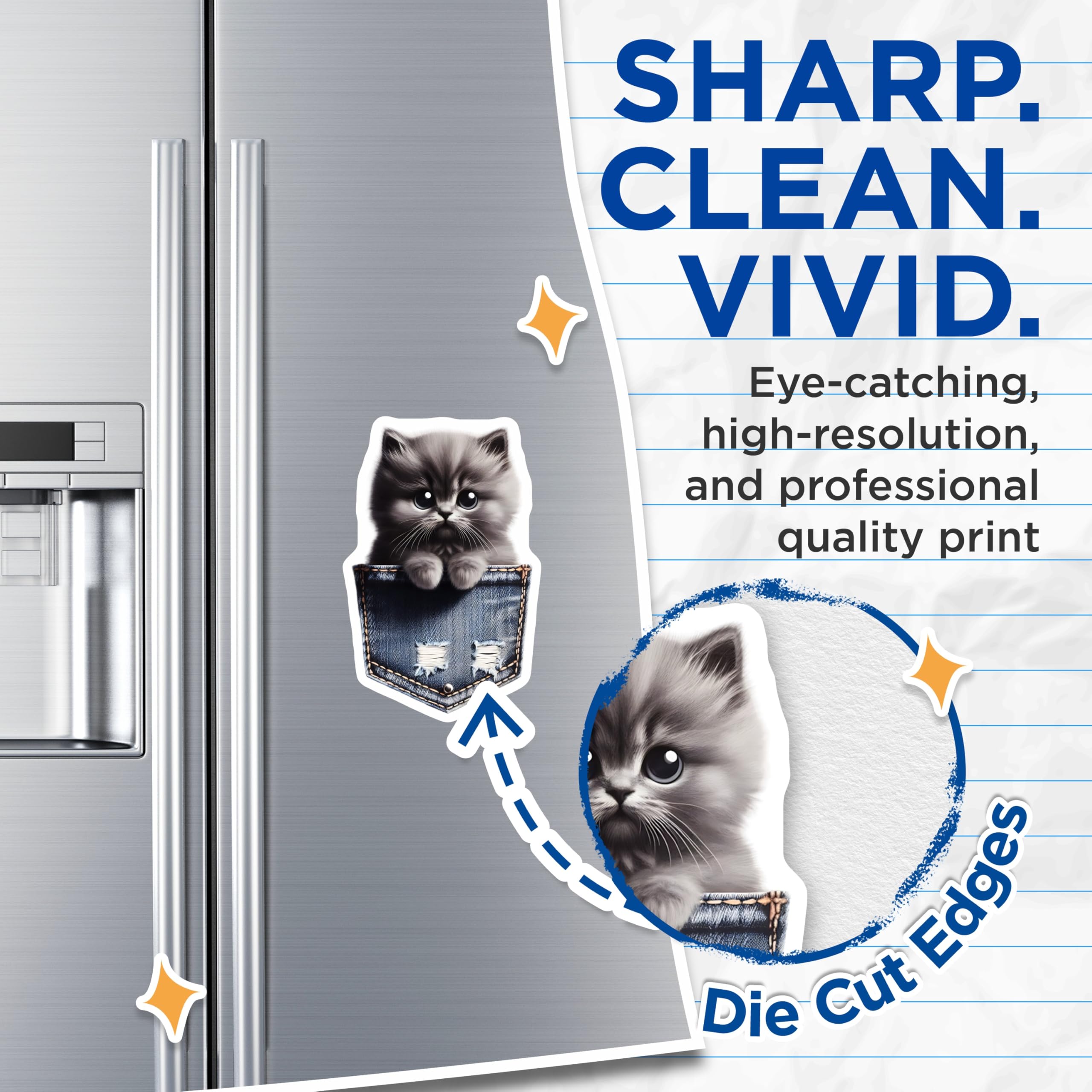 (2 Pack) Cute Kitten Magnets - Pocket Cat Design - Fridge Locker Magnets - 5" On Longest Side - Premium Magnet - for Cars, Refrigerators, Toolboxes, Lockers - Made in USA - MAG16186