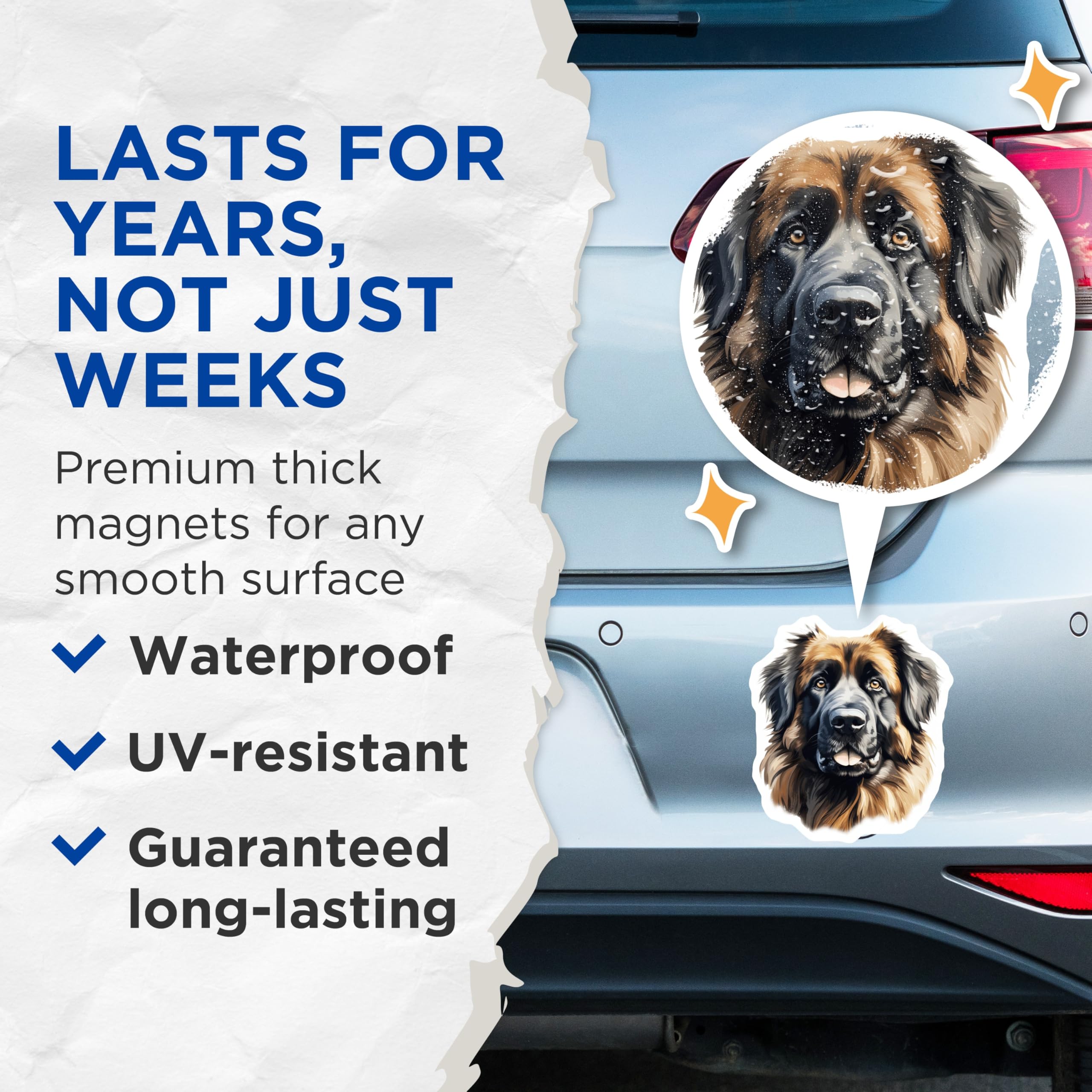 (2 Pack) Leonberger Dog Magnets - Fluffy Dog Portrait - Dog Lover Home Decor - 5 Inches On Longest Side - Thick Durable Magnet - Made in USA - MAG26531