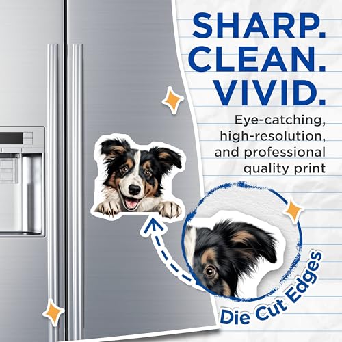(2 Pack) Pet Lover Decor Magnet - 5" On Longest Side - Sticks to Smooth Flat Surfaces - Made in USA - MAG9940