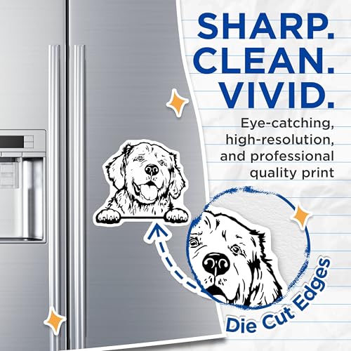 (2 Pack) Golden Retriever Face Car Fridge Magnets - Dog Lovers - Animal Art for Refrigerator ation - 5" On Longest Side - for Cars, Fridges, Toolboxes - Made in USA - MAG4035