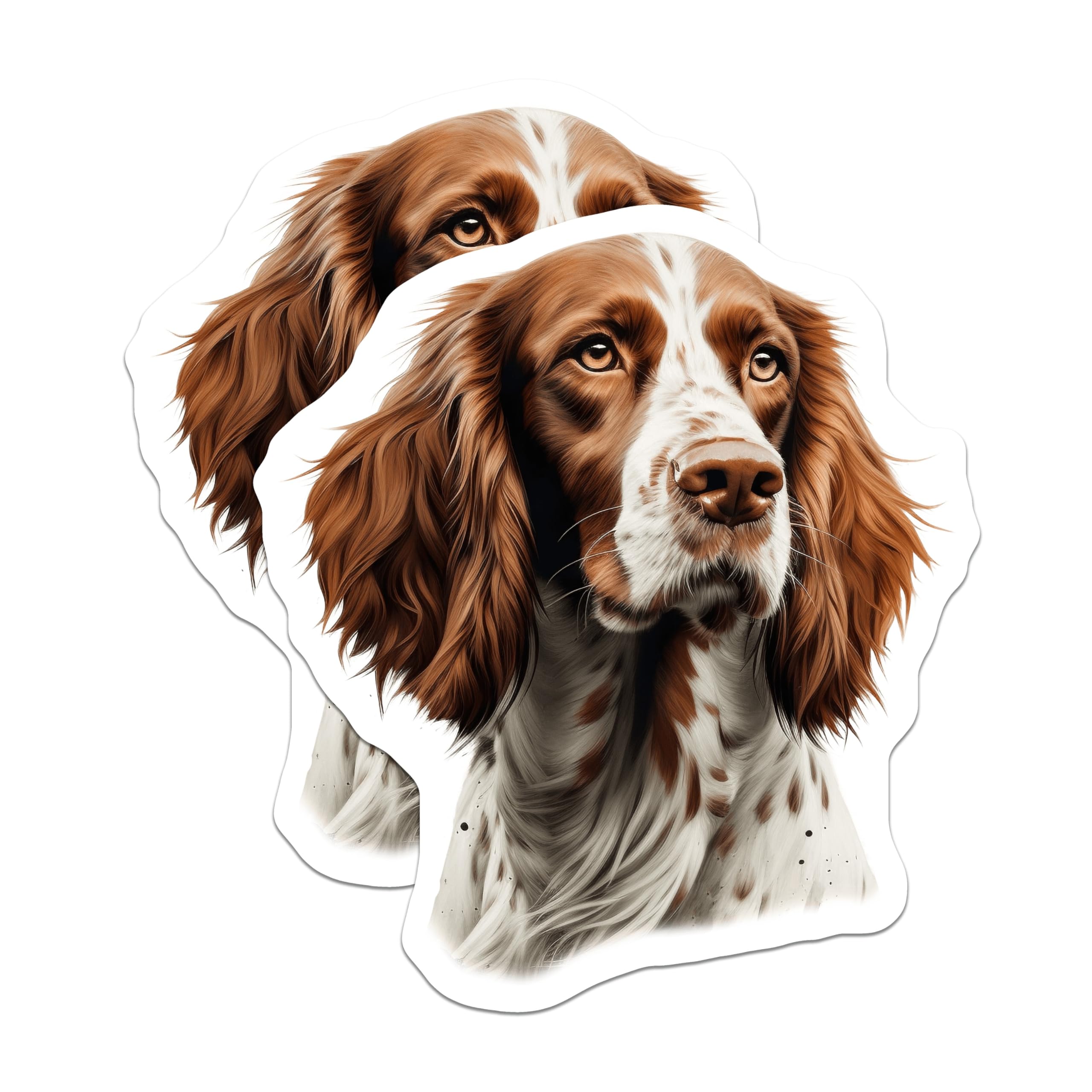 (2 Pack) Springer Spaniel Dog Portrait Magnets - Pet Lover Canine Art - Dog Mom Decor Fridge Magnets - 5 Inches On Longest Side - Thick Durable Magnet - Made in USA - MAG27652