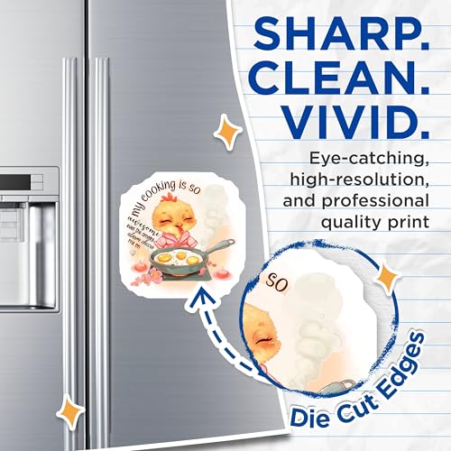 (2 Pack) Funny Cooking Magnets - Cute Kitchen - Chicken Illustration - 5" On Longest Side - for Cars, Fridges, Toolboxes - Made in USA - MAG4368