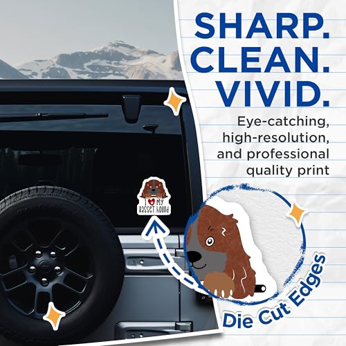 (2 Pack) I Love My Basset Hound Stickers - Dog Lover Stickers - Cute Pet Stickers - Animal Stickers for Dog Owners - 5" On Longest Side - Sticks to Smooth Flat Surfaces - Made in USA - BMCS4293