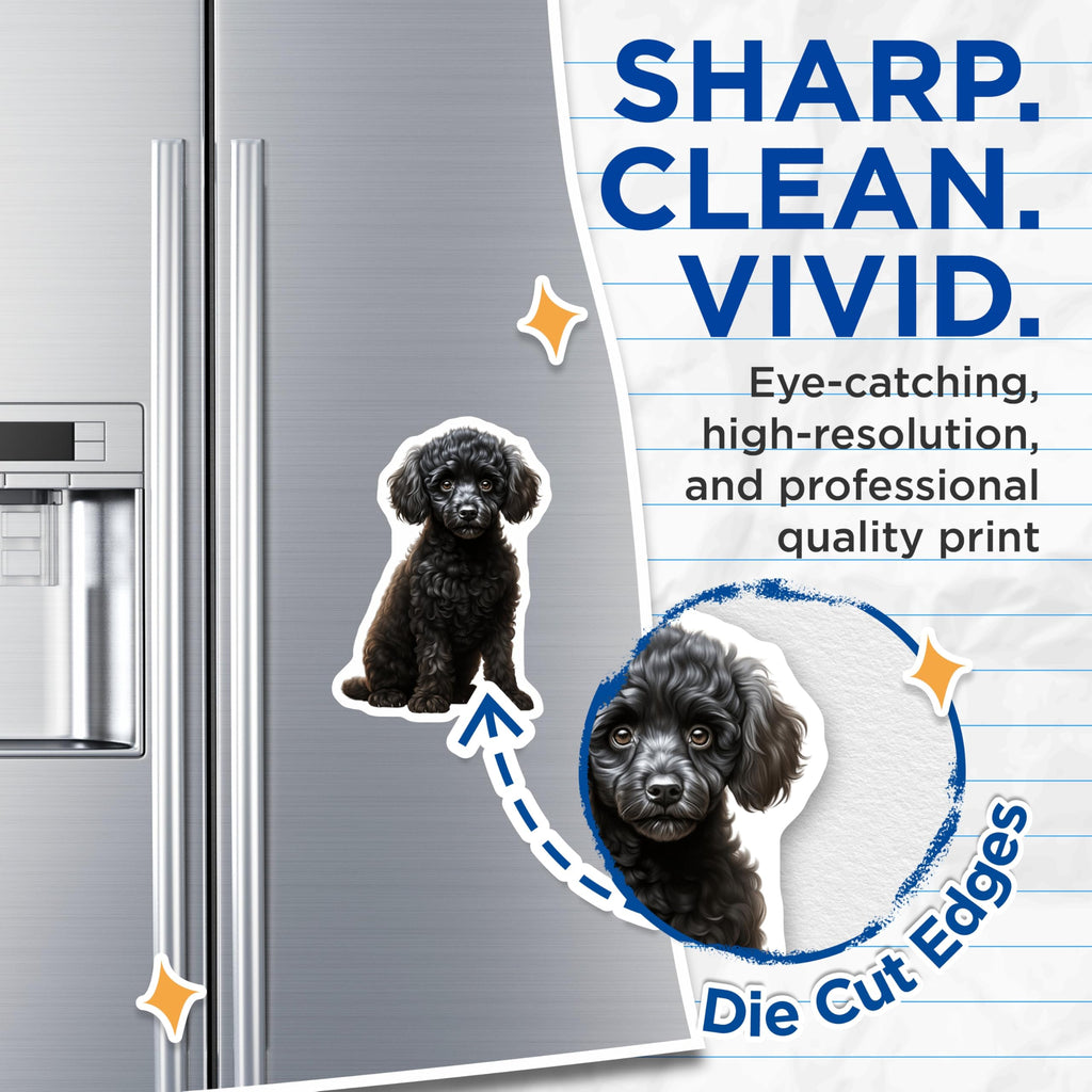 (2 Pack) Black Poodle Puppy Magnets - Adorable Dog Lover Kitchen Decor - Pet Parent Refrigerator Accessories - 5 Inches On Longest Side - Thick Durable Magnet - Made in USA - MAG30408