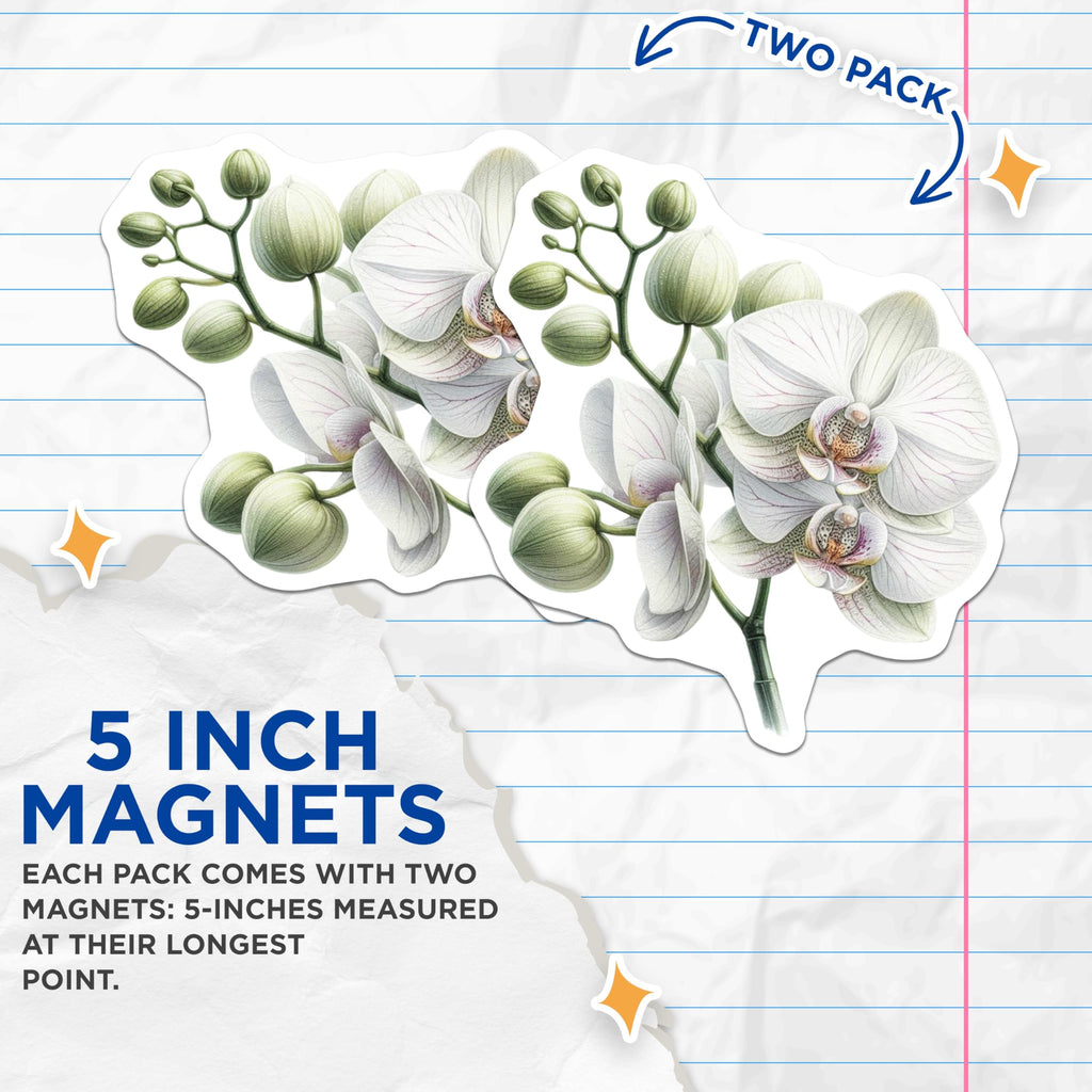 (2 Pack) White Orchid Magnets - Exquisite Botanical Floral Decor - Nature Inspired Refrigerator Home Accents - 5 Inches On Longest Side - Thick Durable Magnet - Made in USA - MAG22132