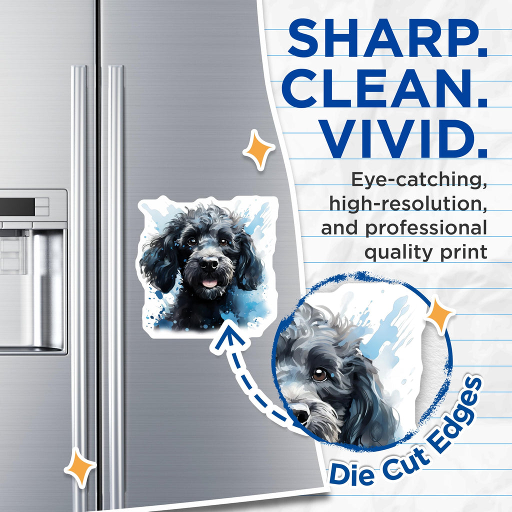 (2 Pack) Black Curly Dog Magnets - Watercolor Pet Art - Dog Lover Fridge Accessory - 5 Inches On Longest Side - Thick Durable Magnet - Made in USA - MAG28964