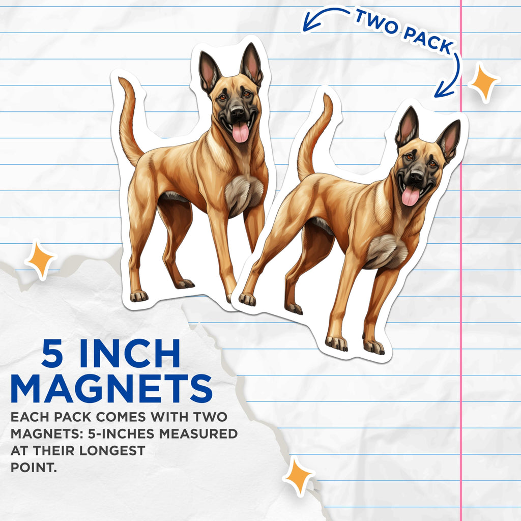 (2 Pack) Belgian Malinois Magnets - Malinois Dog Lover Decor - K9 Working Dog Breed Art - 5 Inches On Longest Side - Thick Durable Magnet - Made in USA - MAG27387