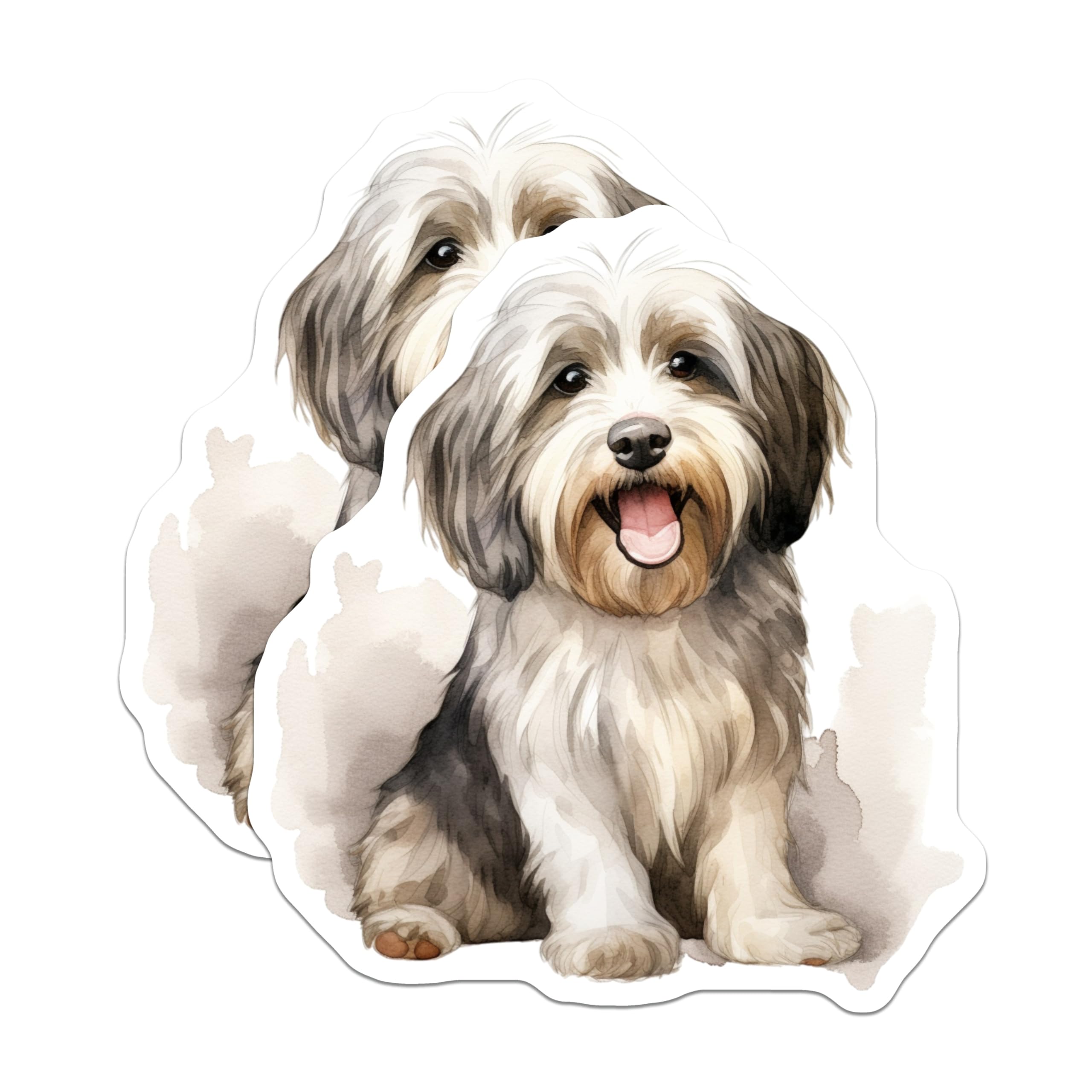 (2 Pack) Havanese Dog Magnets - Adorable Pet Lover Accessory - Fridge Locker Decor - 5 Inches On Longest Side - Thick Durable Magnet - Made in USA - MAG30608
