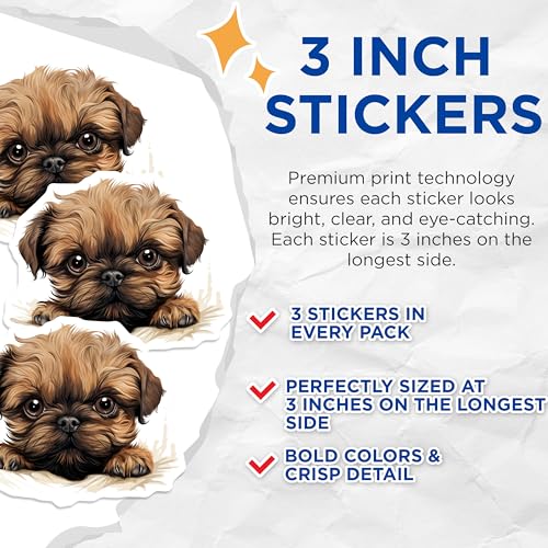 (3 Pack) Brussels Griffon Decals - Cute Dog Breed - Laptop Decals - 3 Inches On Longest Side - Easy Peel & Apply - Made in USA - 3MCS8654