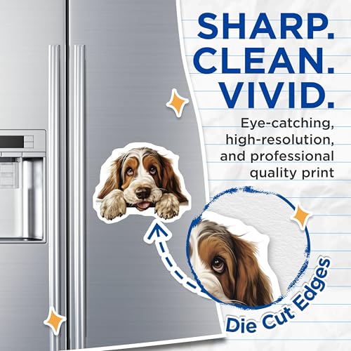 (2 Pack) Dog Lover Home Decor Magnet - 5" On Longest Side - Sticks to Smooth Flat Surfaces - Made in USA - MAG10184