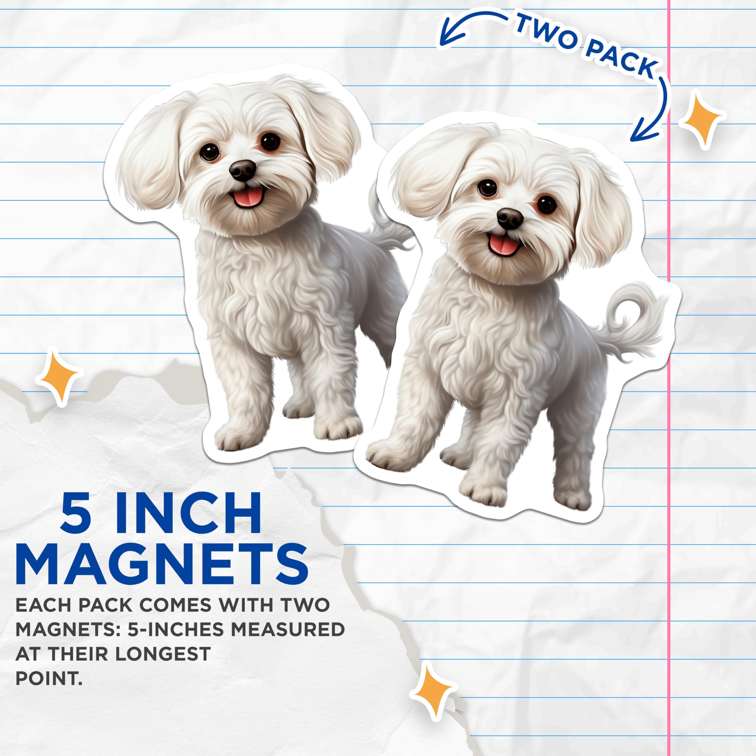 (2 Pack) Maltese Dog Magnets - Fluffy Puppy Magnets - Cute White Dog Decor - Pet Owner Kitchen Accessories - 5 Inches On Longest Side - Thick Durable Magnet - Made in USA - MAG25157