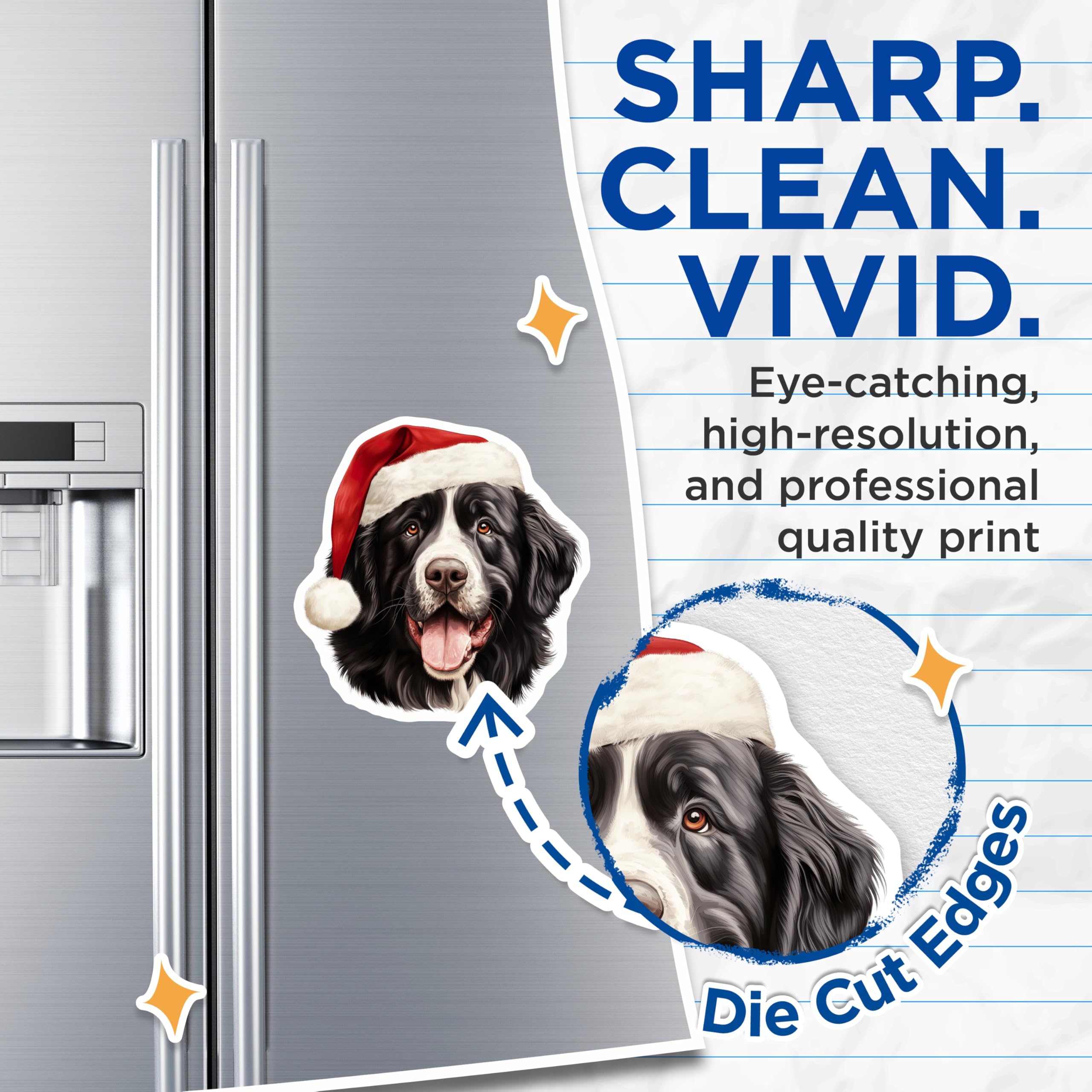 (2 Pack) Bernese Mountain Dog Magnets - Christmas Dog Decor - Holiday Pet Lover - Santa Hat Canine Art - 5 Inches On Longest Side - Thick Durable Magnet - Made in USA - MAG29281