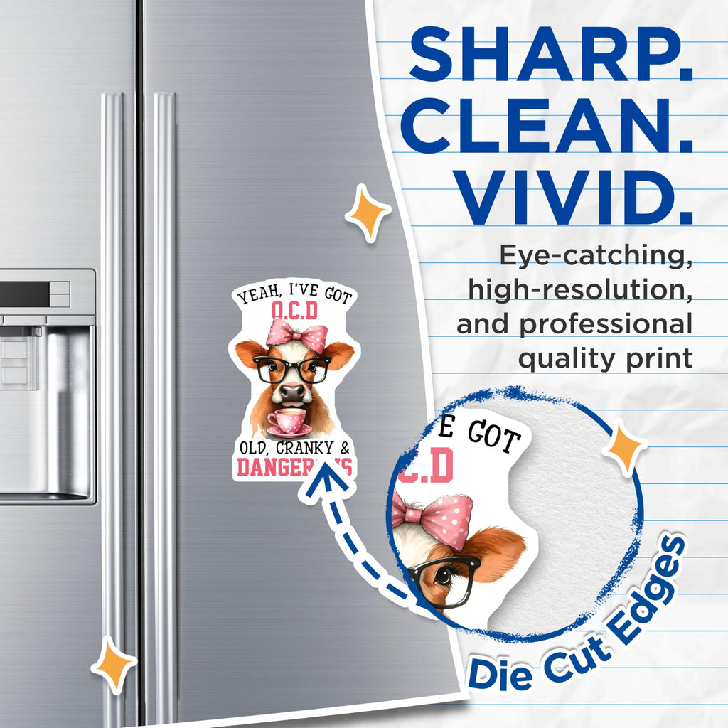 (2 Pack) Funny Cow Magnets - OCD Old Cranky Magnets - Cute Animal Magnets - 5" On Longest Side - Premium Magnet - for Cars, Refrigerators, Toolboxes, Lockers - Made in USA - MAG16991