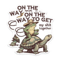 (2 Pack) Funny Frog Stickers - Turtle Rider - Get My Shit Together Sarcastic Quote - 5" On Longest Side - Sticks to Smooth Flat Surfaces - Made in USA - BMCS15960
