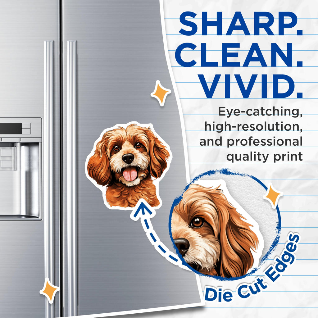 (2 Pack) Cavapoo Dog Magnets - Cute Fluffy Puppy Decor - Animal Lover Pet Owner Item - 5 Inches On Longest Side - Thick Durable Magnet - Made in USA - MAG24612