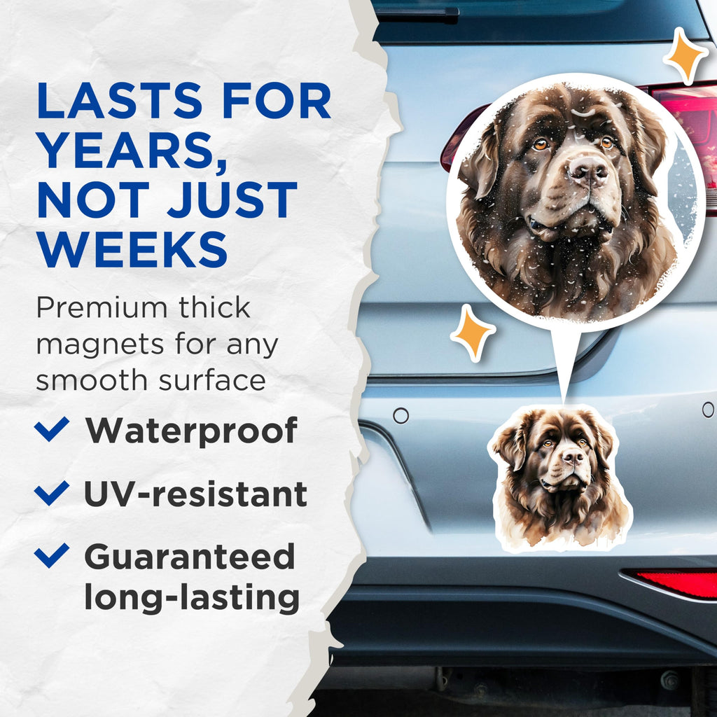 (2 Pack) Newfoundland Dog Magnets - Brown Newfie Portrait - Fridge Magnets - 5" On Longest Side - Premium Magnet - for Cars, Refrigerators, Toolboxes, Lockers - Made in USA - MAG16183