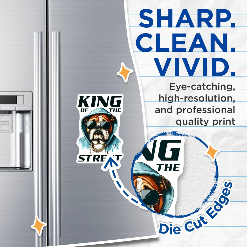 (2 Pack) Bulldog Magnets - King of Street - Cool Dog Fridge Magnets - 5" On Longest Side - Premium Magnet - for Cars, Refrigerators, Toolboxes, Lockers - Made in USA - MAG16647