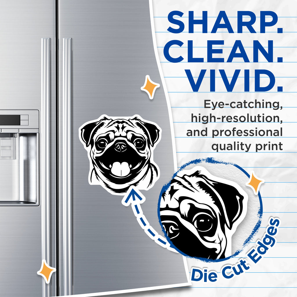 (2 Pack) Pug Dog Magnets - Cute Pet Lover Refrigerator Decor - Animal Parent Kennel Locker - 5 Inches On Longest Side - Thick Durable Magnet - Made in USA - MAG38072