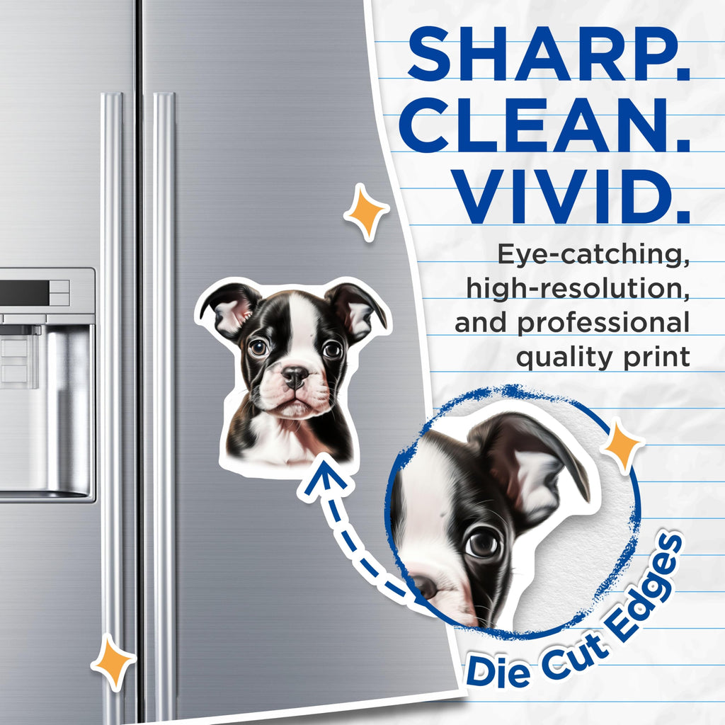 (2 Pack) Charming Boston Terrier Puppy Magnets - Sweet Dog Breed Refrigerator Decoration for Pet Lovers - Cute Canine Art - 5 Inches On Longest Side - Thick Durable Magnet - Made in USA - MAG24591