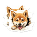 (2 Pack) Funny Dog Lover Decor Magnet - 5" On Longest Side - Sticks to Smooth Flat Surfaces - Made in USA - MAG10277
