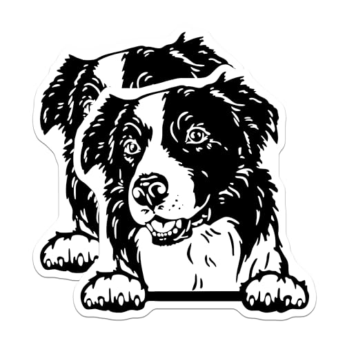 (2 Pack) Border Collie Dog Stickers - Cute Pet Lover Decal - Animal Art Decor - 5" On Longest Side - Sticks to Smooth Flat Surfaces - Made in USA - BMCS4046