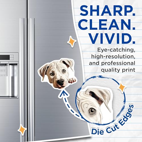 (2 Pack) Animal Lover Gift Magnet - Dog Enthusiast Decor - 5" On Longest Side - Sticks to Smooth Flat Surfaces - Made in USA - MAG9969