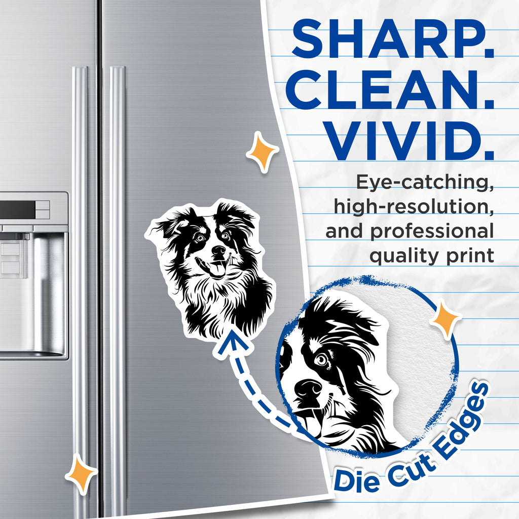 (2 Pack) Border Collie Dog Magnets - Cute Pet Fridge Decor - Animal Lover Items - Dog Mom Dad Present - 5 Inches On Longest Side - Thick Durable Magnet - Made in USA - MAG37448