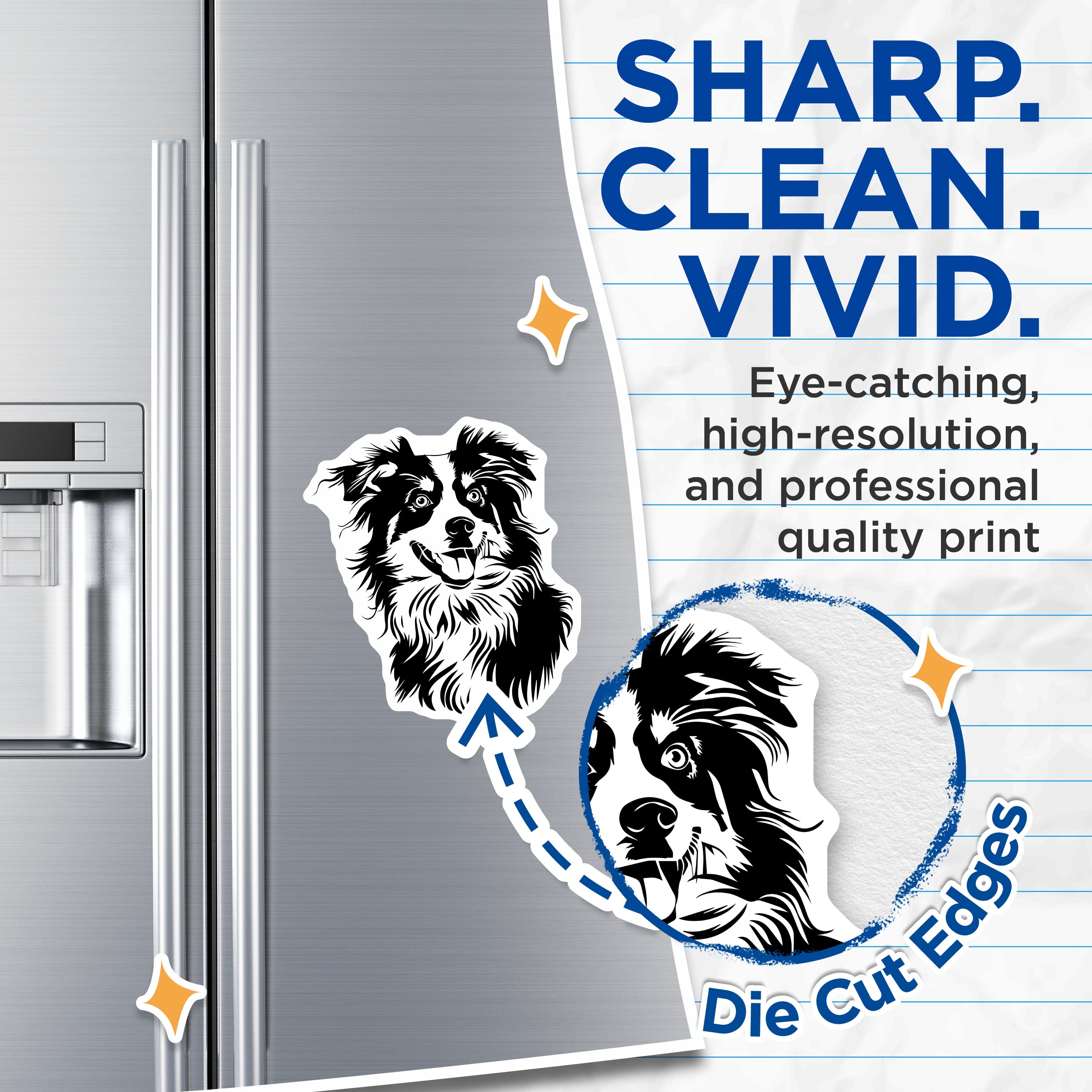 (2 Pack) Border Collie Dog Magnets - Cute Pet Fridge Decor - Animal Lover Items - Dog Mom Dad Present - 5 Inches On Longest Side - Thick Durable Magnet - Made in USA - MAG37448