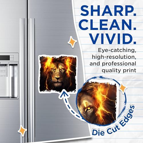 (2 Pack) Majestic Lion Magnets - Animal Magnets for Fridge - Unique Wild Life - 5" On Longest Side - for Cars, Fridges, Toolboxes - Made in USA - MAG4266