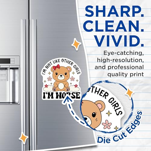 (2 Pack) Not Like Other Girls Magnets - Cute Bear Magnets - Funny Quote - Cute Animal - 5" On Longest Side - for Cars, Fridges, Toolboxes - Made in USA - MAG4107