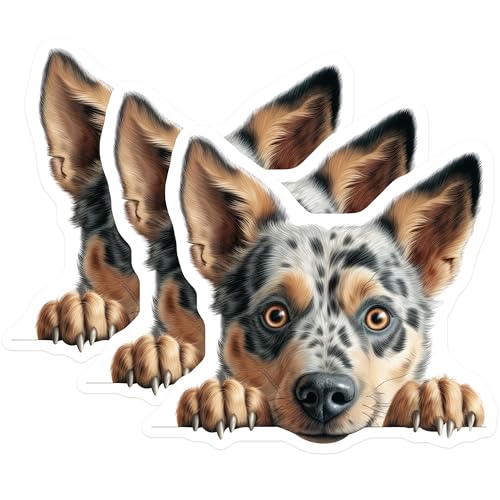 (3 Pack) Blue Heeler Decals - Laptop Decals - Dog Breed Stickers - 3 Inches On Longest Side - Easy Peel & Apply - Made in USA - 3MCS8599