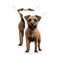 (2 Pack) Border Terrier Dog Magnets - Realistic Pet Portrait Art - Dog Lover Fridge Decor - Terrier Breed Owner Accent - 5 Inches On Longest Side - Thick Durable Magnet - Made in USA - MAG30329
