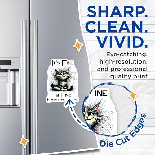 (2 Pack) Cat Meme Magnets - Funny Quote Cat Magnets - Everything is Fine Magnets - 5" On Longest Side - for Cars, Refrigerators, Toolboxes, Lockers - Made in USA BMCS3365
