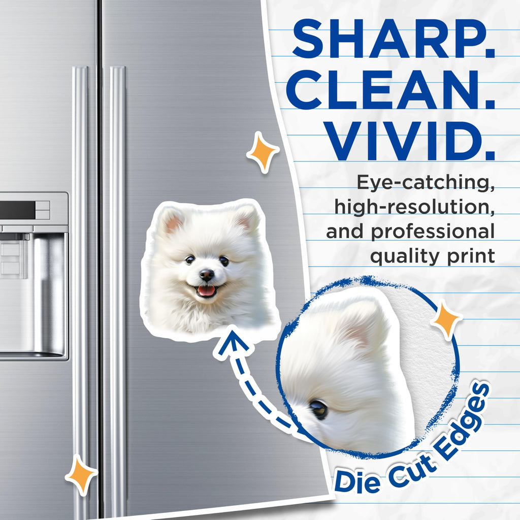 (2 Pack) White Fluffy Dog Magnets - Cute Puppy Refrigerator Decor - Pomeranian Pet Lover Locker Accessory - 5 Inches On Longest Side - Thick Durable Magnet - Made in USA - MAG30659