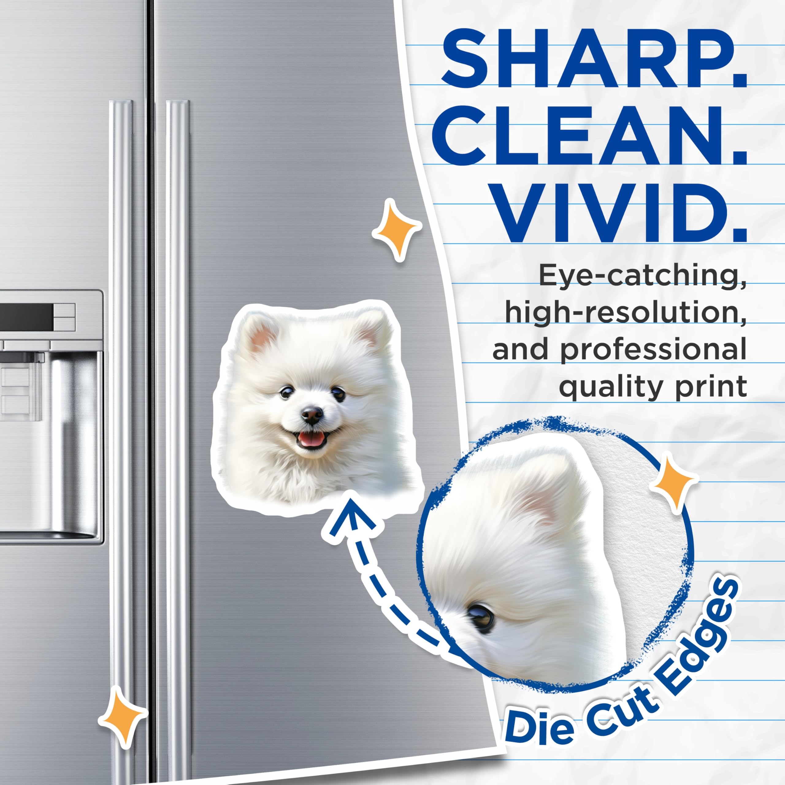 (2 Pack) White Fluffy Dog Magnets - Cute Puppy Refrigerator Decor - Pomeranian Pet Lover Locker Accessory - 5 Inches On Longest Side - Thick Durable Magnet - Made in USA - MAG30659