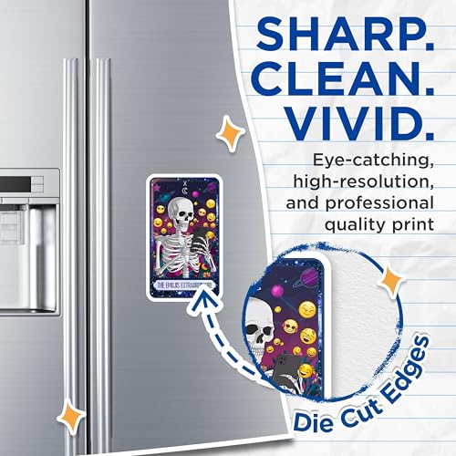 (2 Pack) Funny Refrigerator Decor Magnet - 5" On Longest Side - Sticks to Smooth Flat Surfaces - Made in USA - MAG9996