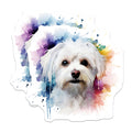 (2 Pack) Watercolor Maltese Dog Magnets - Cute Pet Art - Dog Mom Kitchen Decor - 5 Inches On Longest Side - Thick Durable Magnet - Made in USA - MAG25362