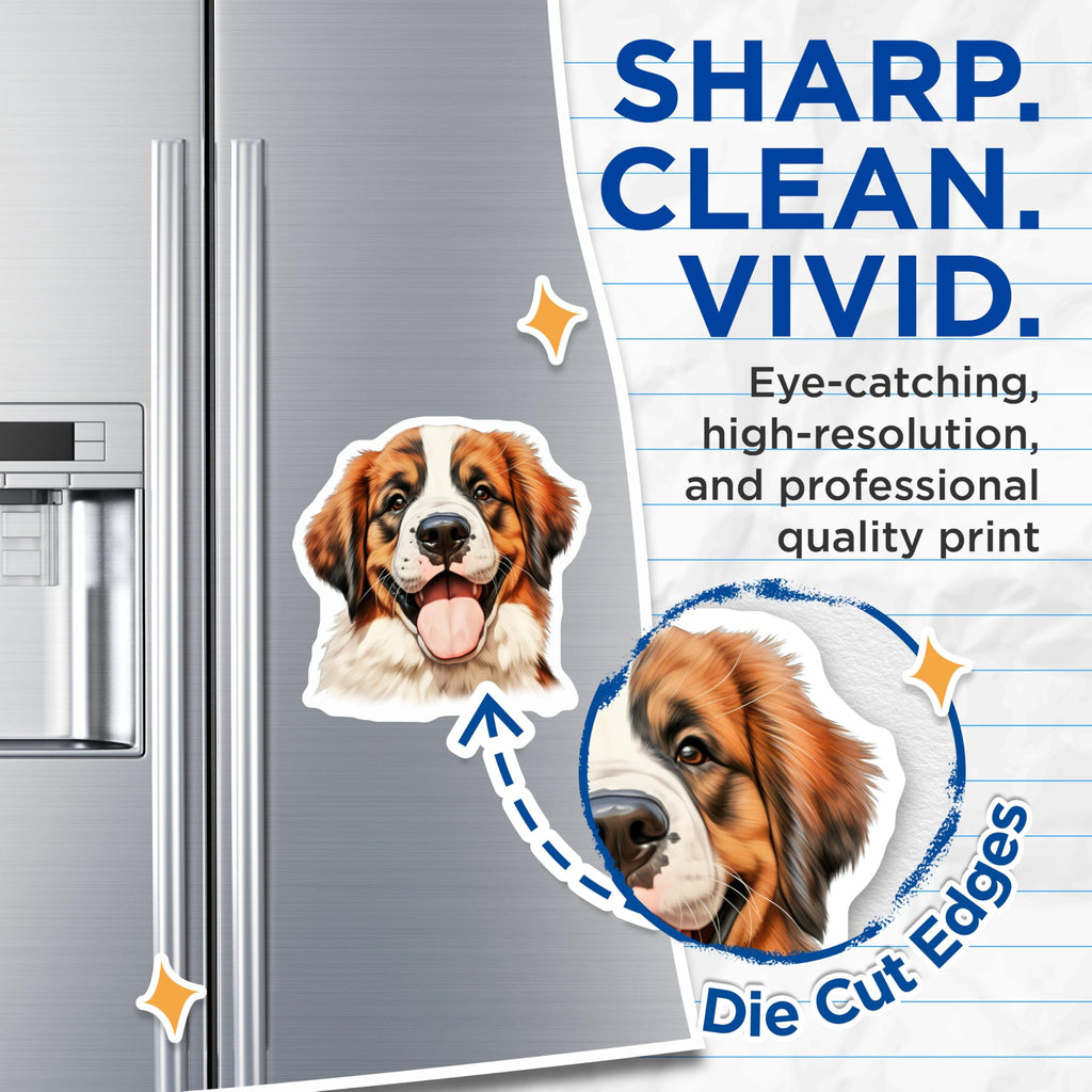 (2 Pack) Bernese Mountain Dog Magnets - Happy Fluffy Puppy Decor - Large Breed Dog Lover Collectible - 5 Inches On Longest Side - Thick Durable Magnet - Made in USA - MAG29796