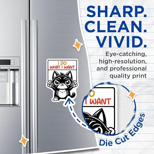 (2 Pack) Cat Attitude Magnets - Funny Cat Kitchen Decor - 5" On Longest Side - for Cars, Fridges, Toolboxes - Made in USA - MAG7335