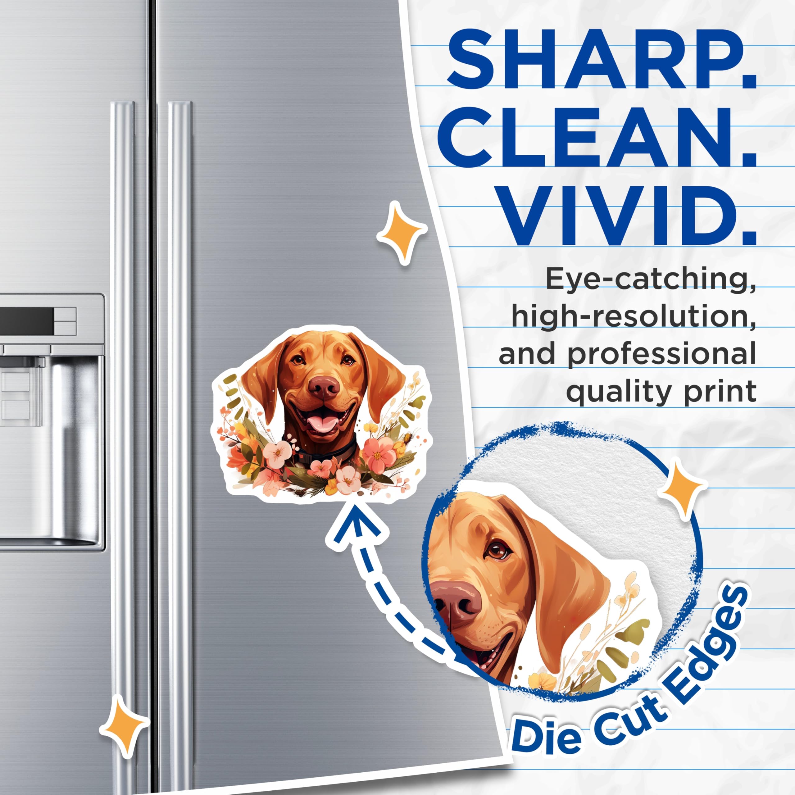 (2 Pack) Vizsla Dog Magnets - Floral Pet Art - Dog Lover Fridge Decor - 5 Inches On Longest Side - Thick Durable Magnet - Made in USA - MAG26102