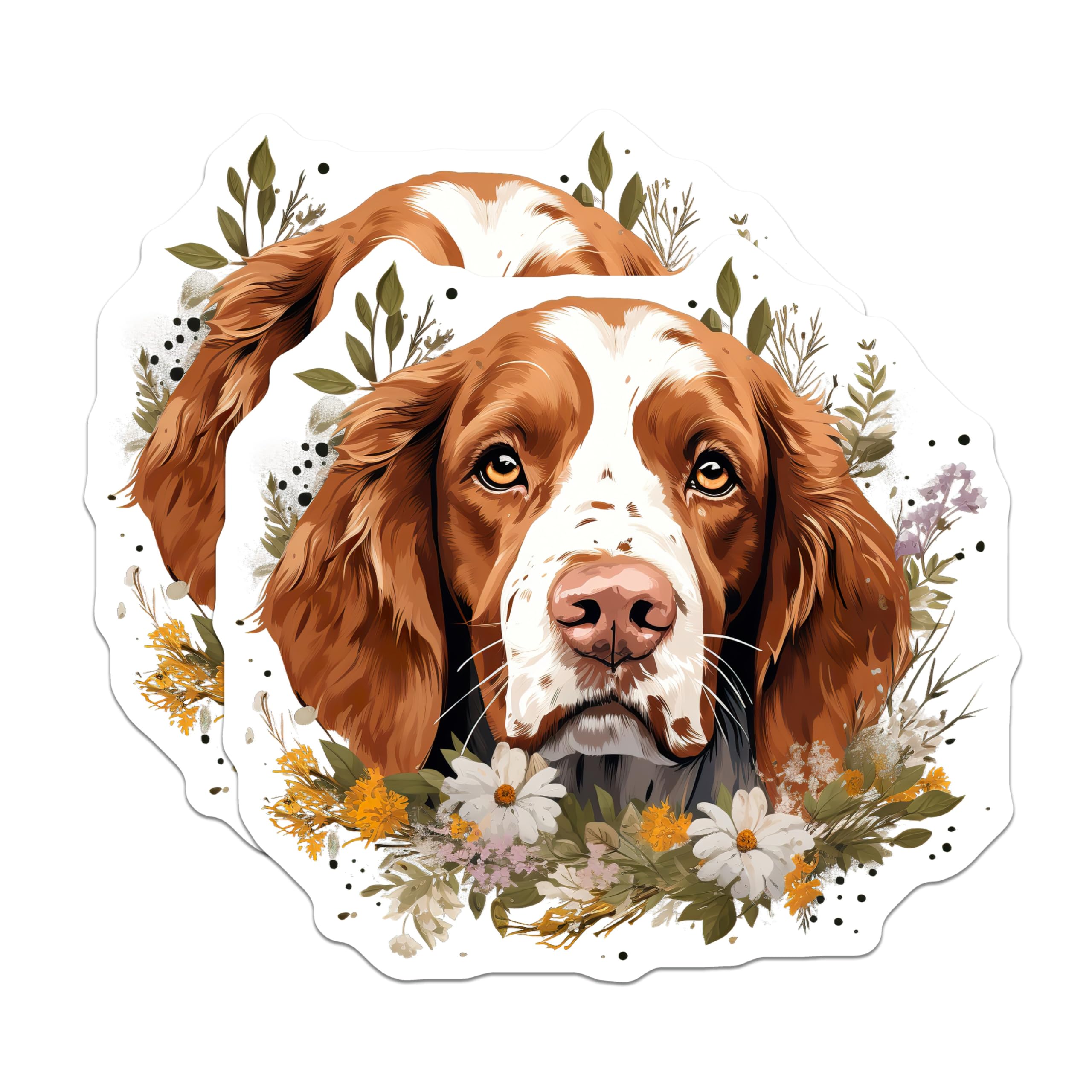 (2 Pack) Springer Spaniel Magnets - Brown White Dog Art - Wildflower Pet Decor - Canine Lover Refrigerator Magnet - 5 Inches On Longest Side - Thick Durable Magnet - Made in USA - MAG23869