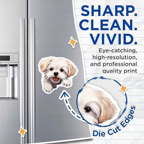 (2 Pack) Adorable Pet Lover Decor Magnet - 5" On Longest Side - Sticks to Smooth Flat Surfaces - Made in USA - MAG10222