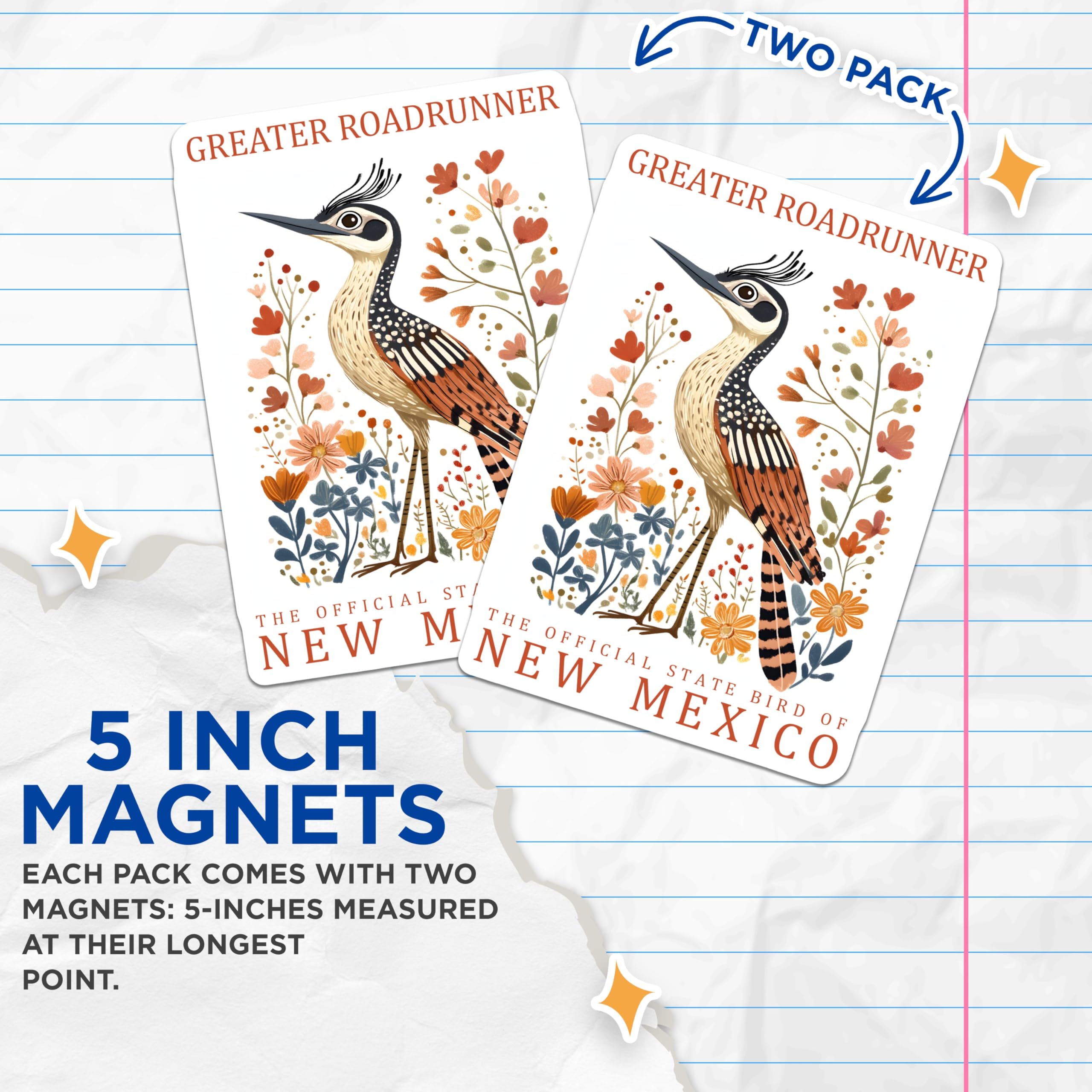 (2 Pack) Greater Roadrunner Magnets - New Mexico State Bird Art - Southwestern Desert Decor - 5 Inches On Longest Side - Thick Durable Magnet - Made in USA - MAG19169