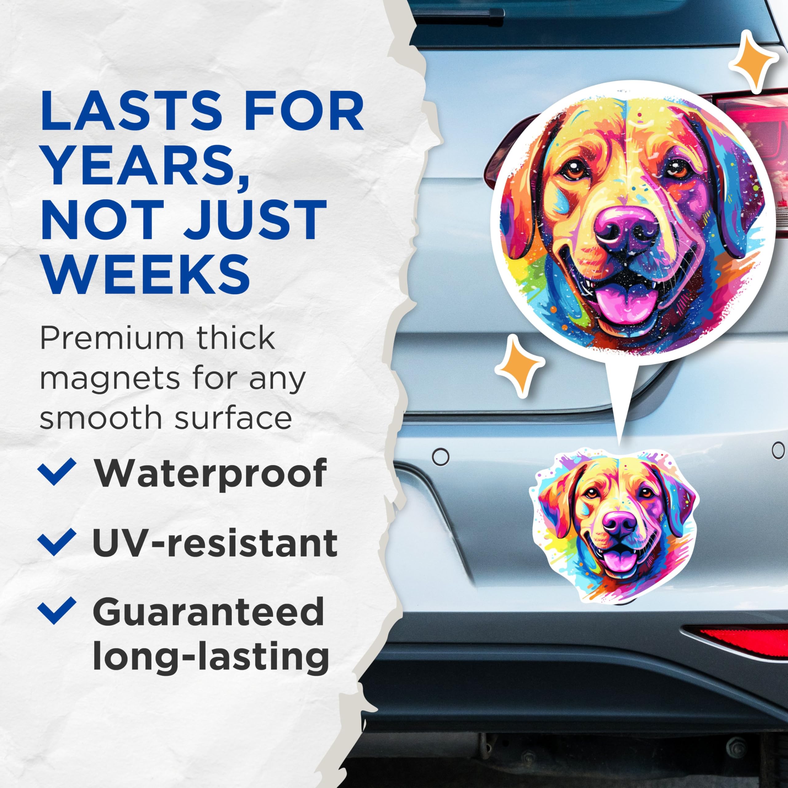 (2 Pack) Labrador Retriever Dog Breed Magnets - 5 Inches On Longest Side - Choose from Over 100 Dog Breeds - for Cars, Refrigerators, Toolboxes - Made in USA - MAG1891