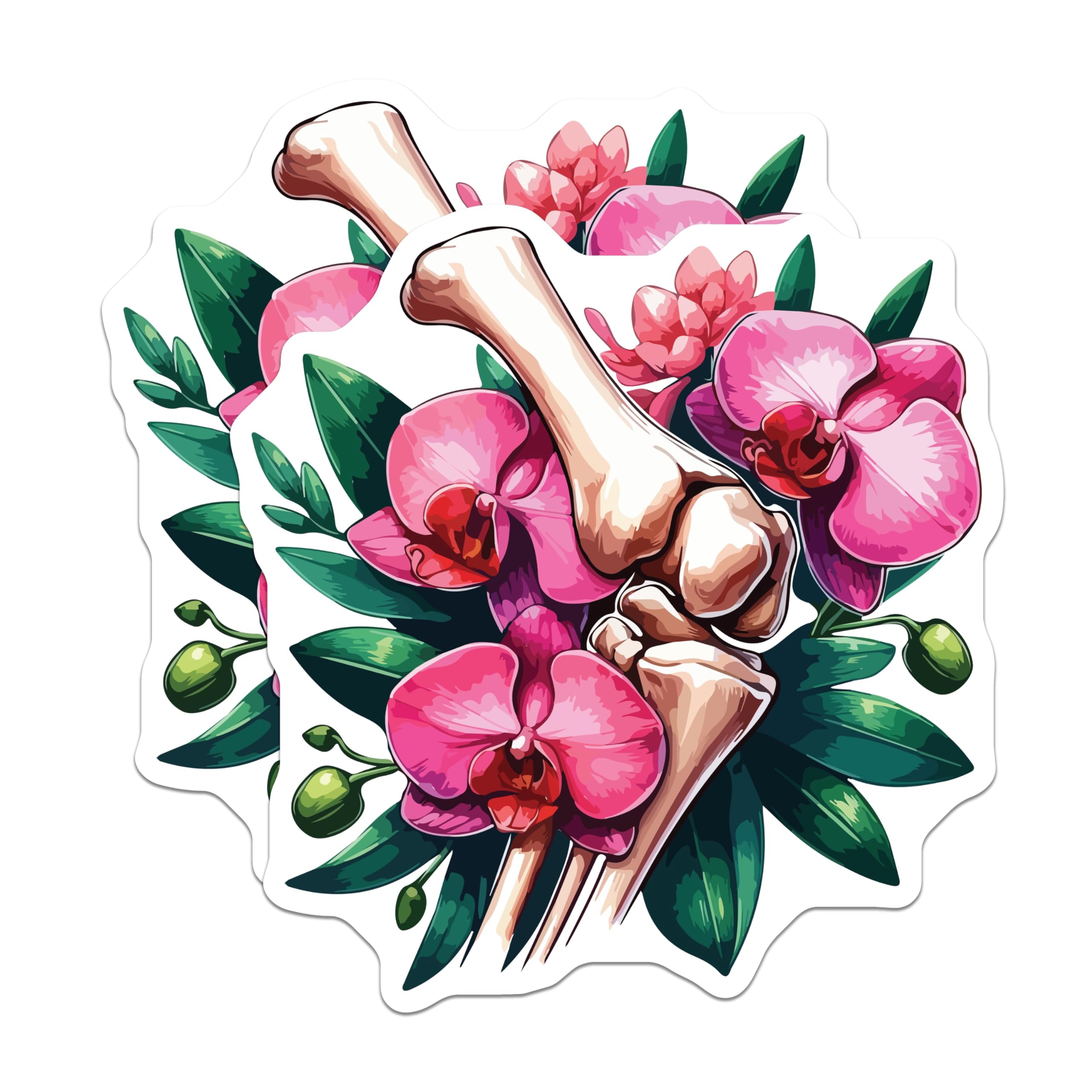 (2 Pack) Anatomical Orchid Magnets - Human Foot Bones Skeleton Art - Vibrant Pink Orchid Doctor Nurse Medical Decor - 5 Inches On Longest Side - Thick Durable Magnet - Made in USA - MAG19790