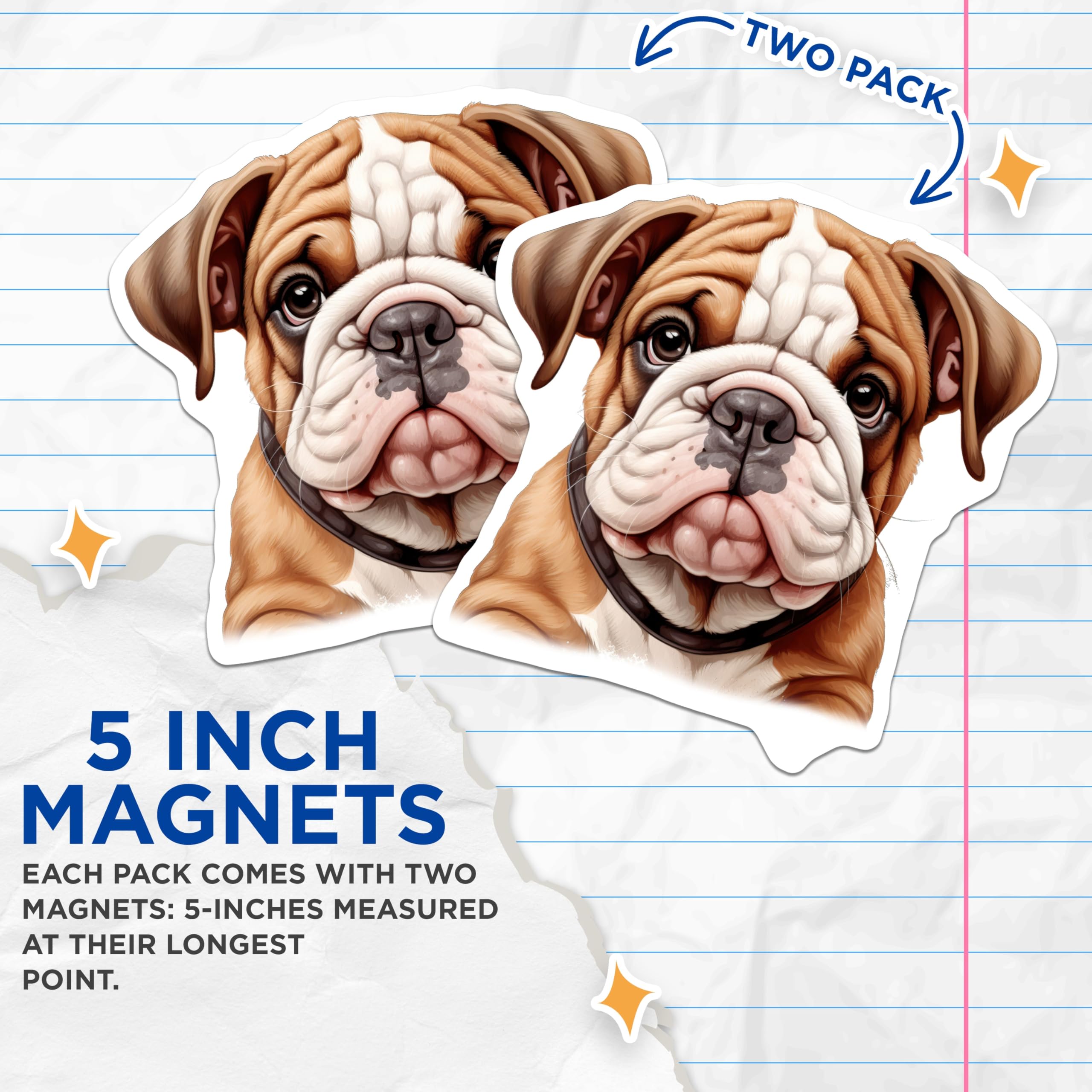 (2 Pack) Adorable English Bulldog Puppy Magnets - Cute Dog Lover Fridge Decor - Pet Owner Present - Locker Art - 5 Inches On Longest Side - Thick Durable Magnet - Made in USA - MAG25396